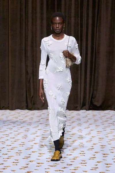 Look 36